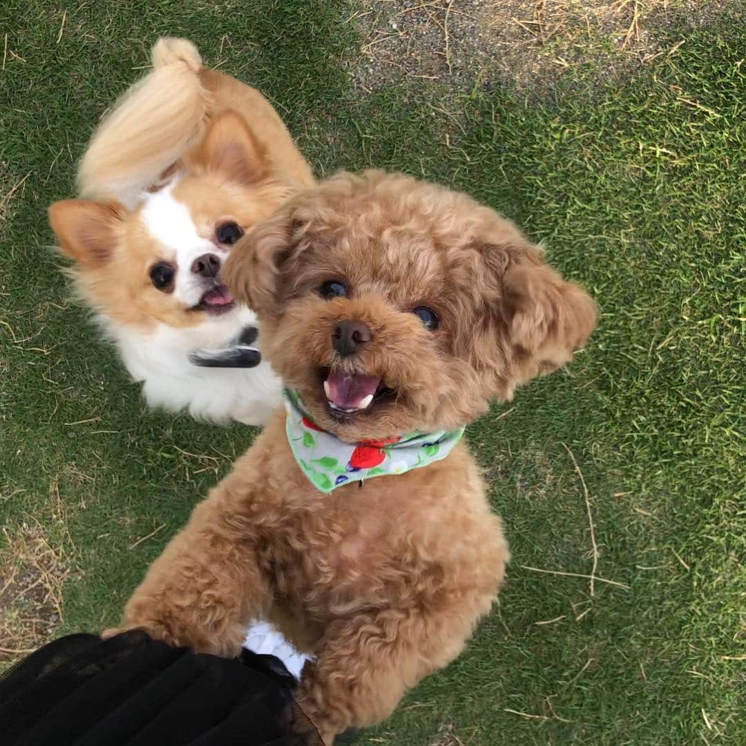 玉ねぎ戦士のグルメインスタ