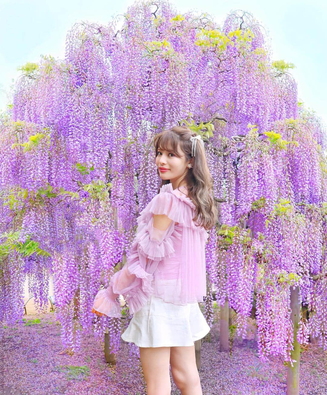 小沼瑞季さんのインスタグラム写真 - (小沼瑞季Instagram)「wisteria flower💜💠💜💠﻿ ﻿ GW最終日は...﻿ 足利フラワーパークへ行ってきたよ🚃💐💕﻿ ﻿ メインの藤の花はもう枯れ気味だったけど﻿ 奥の方にはこのくらい元気な子達がいました🥰﻿ ﻿ 紫色の藤すっごく綺麗だったな😌💜﻿ 来年はもうちょっと早い時期に行こう💖💕﻿ ﻿ この連休はお花畑巡りたくさんできた気がする🌷﻿ みんなはどんなGWを過ごしましたか？💕﻿ ﻿ #wisteria#trip#flowergarden#japaneseflower#ashikagaflowerpark#藤#大藤#むらさき藤#藤の花#フジ#足利フラワーパーク#あしかがフラワーパーク#足利#栃木県#栃木旅行#国内旅行#花のある暮らし#花のある生活#お花畑#snidel#スナイデル#みいきコーデ#みいきとらべる✈️」5月6日 19時39分 - mizukikonuma