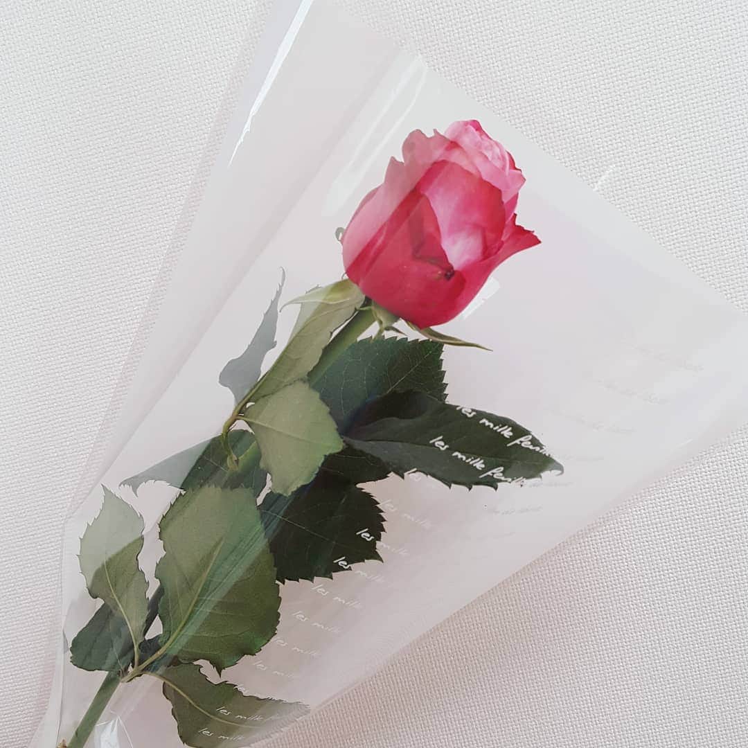 長江愛美さんのインスタグラム写真 - (長江愛美Instagram)「やっぱりPINK選んでしまう🌹 #rose#Flower #薔薇#お花のある暮らし」5月6日 19時45分 - manamin.512