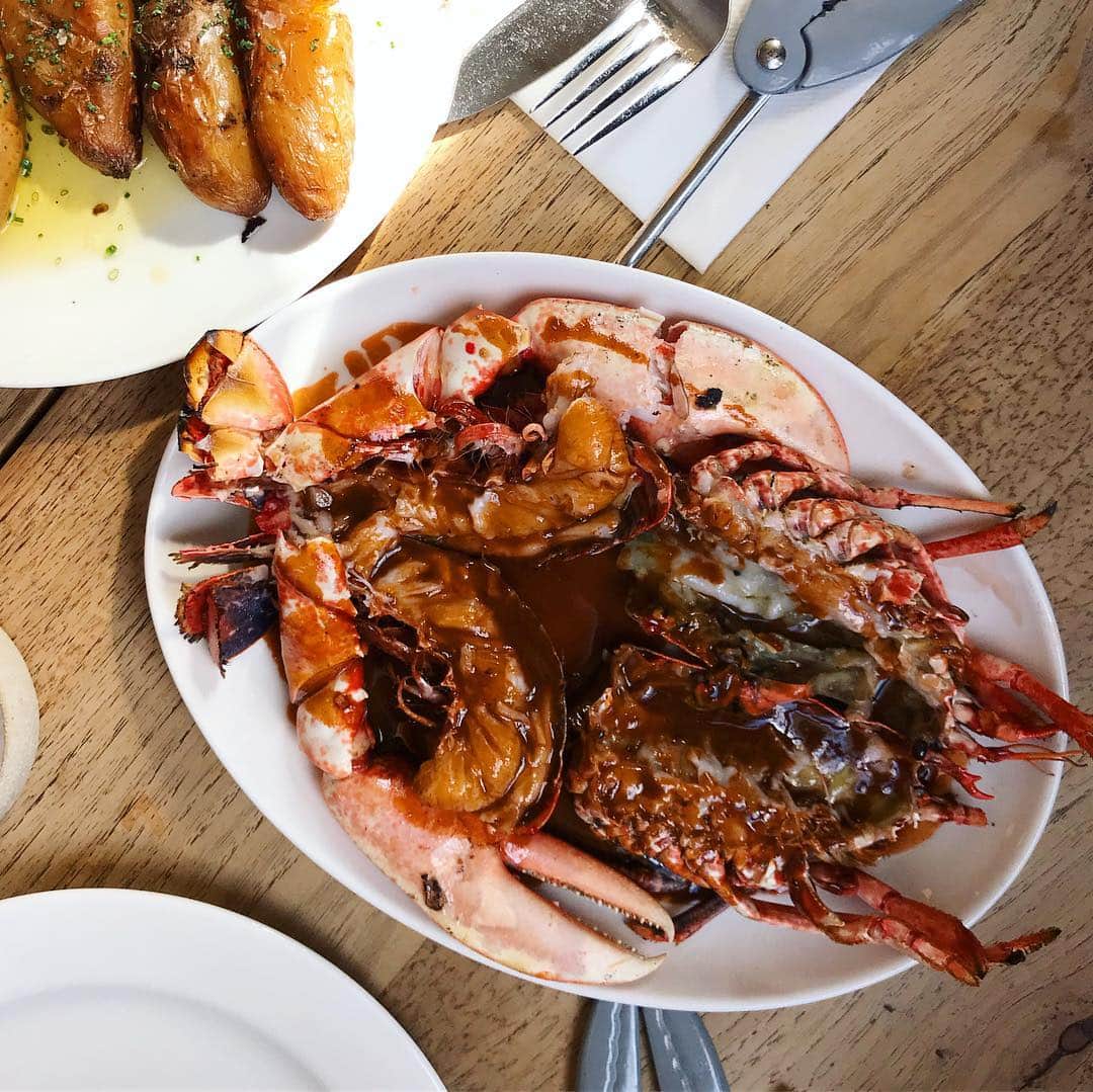 のインスタグラム：「BRATのロブスター炭火焼がこの旅最大のうまいだった🦞@bratrestaurant 's lobster was the most delicious thing on this trip🦞フレッシュで甘くて弾けるようなロブスターに頭と卵の濃厚ソースでろん🦞 それはほんの一瞬だけど かぶりついたら周囲の雑音が遠のいて世界が味だけになった あ〜味しかないやつきた〜 私もあなたも時間も空間も全部ないんだよ〜ってこの感覚滅多に起こらんのだけど 思い返すと手で食べてる時に起きやすい」