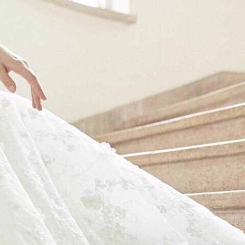 Dresses (ドレッシーズ)のインスタグラム