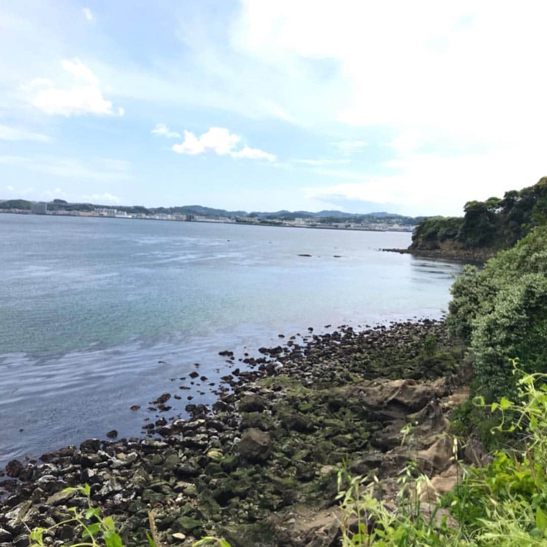 新田朝子さんのインスタグラム写真 - (新田朝子Instagram)「猿島海編。 . 夏は海水浴も楽しめるとのことですが、今日早くも砂浜で水着になっている人の姿も見かけました⛱次回来るときは釣りや海辺でのバーベキューもいいな😌✨ . 緑も豊かで、透き通る海も、綺麗でした。 . #ゴールデンウィーク #休日 #小旅行 #明日から頑張ろう #旅行好きな人と繋がりたい #海好きな人と繋がりたい #猿島 #横須賀 #無人島 #島 #三笠 #戦艦みかさ #japan #yokosuka #sarushima #island #triplovers #sealovers」5月6日 20時13分 - asako.nitta