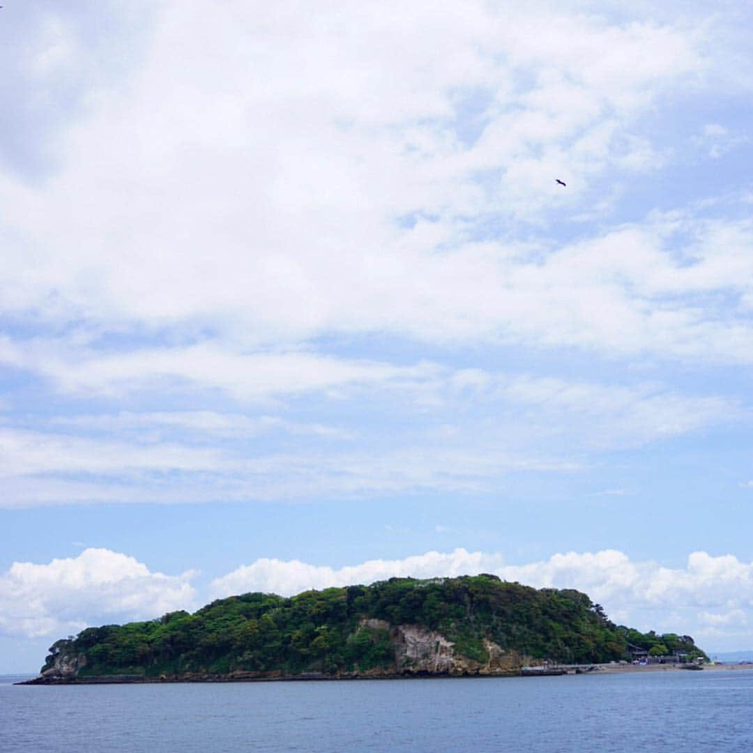 新田朝子さんのインスタグラム写真 - (新田朝子Instagram)「猿島海編。 . 夏は海水浴も楽しめるとのことですが、今日早くも砂浜で水着になっている人の姿も見かけました⛱次回来るときは釣りや海辺でのバーベキューもいいな😌✨ . 緑も豊かで、透き通る海も、綺麗でした。 . #ゴールデンウィーク #休日 #小旅行 #明日から頑張ろう #旅行好きな人と繋がりたい #海好きな人と繋がりたい #猿島 #横須賀 #無人島 #島 #三笠 #戦艦みかさ #japan #yokosuka #sarushima #island #triplovers #sealovers」5月6日 20時13分 - asako.nitta