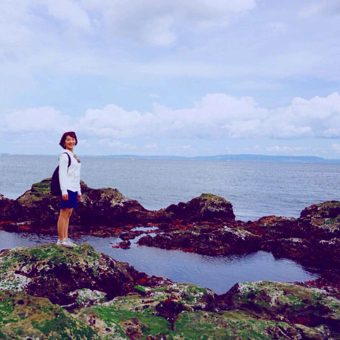 新田朝子さんのインスタグラム写真 - (新田朝子Instagram)「猿島海編。 . 夏は海水浴も楽しめるとのことですが、今日早くも砂浜で水着になっている人の姿も見かけました⛱次回来るときは釣りや海辺でのバーベキューもいいな😌✨ . 緑も豊かで、透き通る海も、綺麗でした。 . #ゴールデンウィーク #休日 #小旅行 #明日から頑張ろう #旅行好きな人と繋がりたい #海好きな人と繋がりたい #猿島 #横須賀 #無人島 #島 #三笠 #戦艦みかさ #japan #yokosuka #sarushima #island #triplovers #sealovers」5月6日 20時13分 - asako.nitta