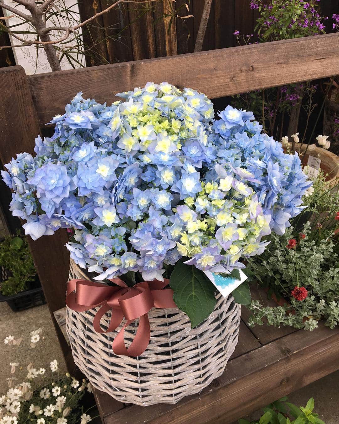 MILLE ECLAT.のグルメインスタ