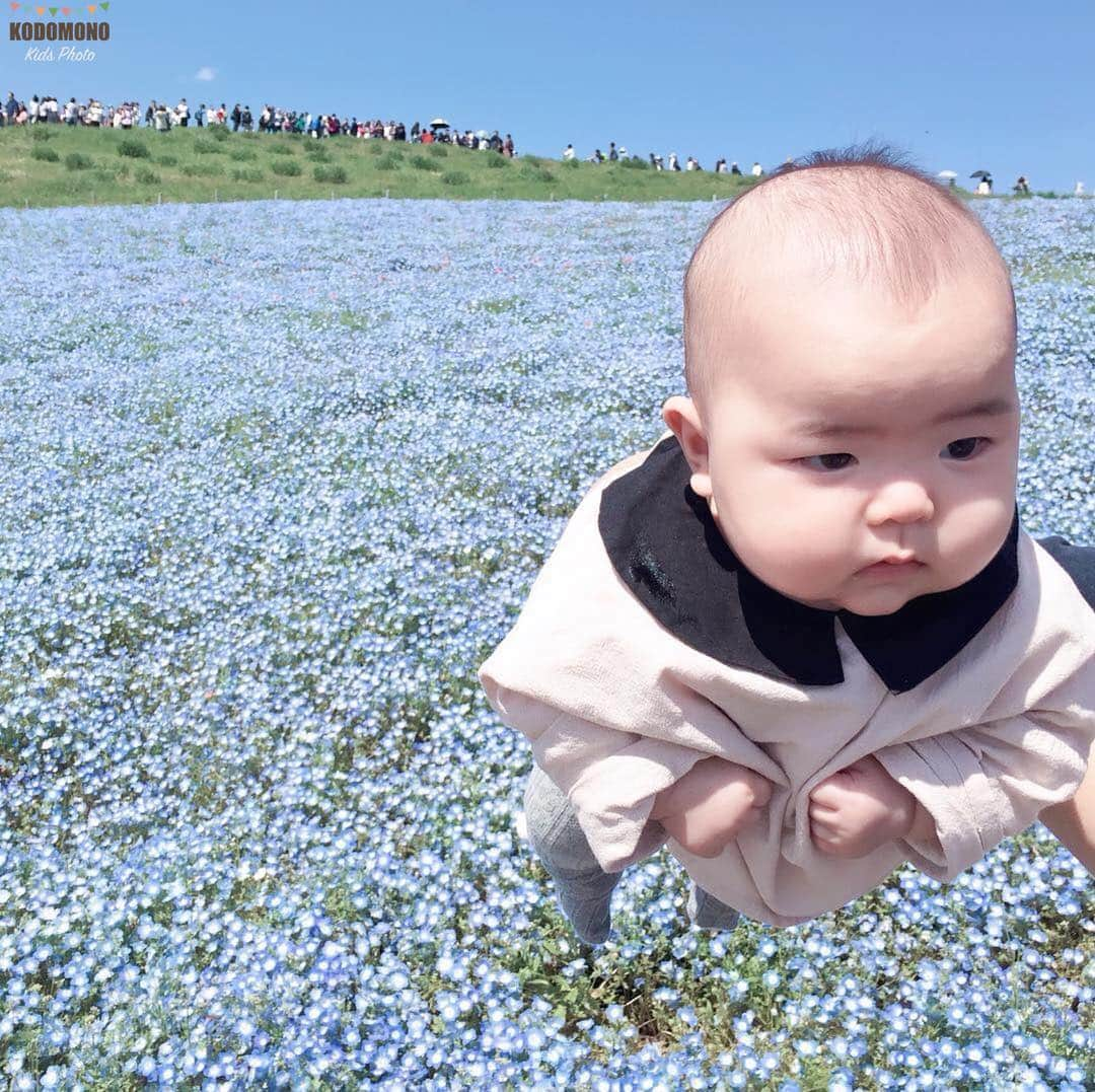 コドモノ！写真部のインスタグラム