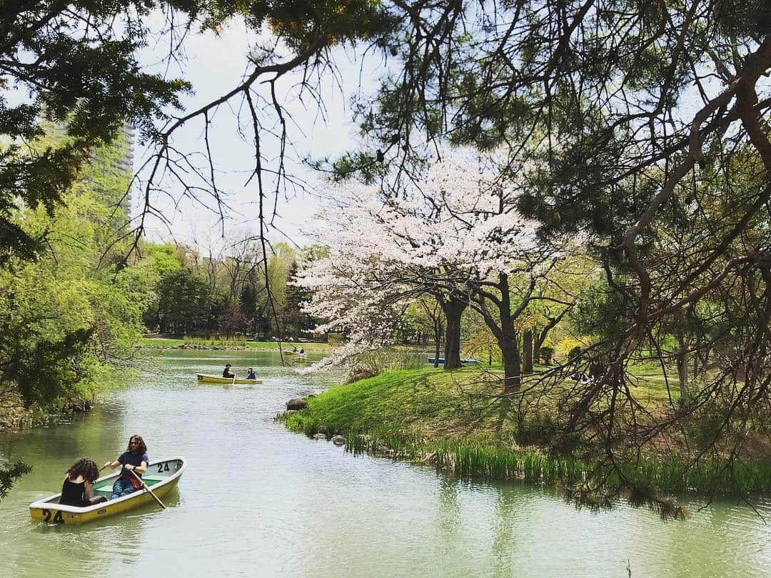 山田義孝さんのインスタグラム写真 - (山田義孝Instagram)「🌸🌸🌸 エピソード3のファイナル北海道✨ このツアーも半分を越えた！ このシリーズも素晴らしい思い出と良いライブの実感を手にできた。 感謝✨ 北海道またね🌝 #吉田山田47都道府県 #25カ所目 #札幌 #北海道はまだ春です #あっ #グッズの #地図パズルキーホルダー #北海道デカいね #首にかけるストラップにつけたら #ラッパーみたいになるね #北海道出身のラッパーは是非」5月6日 20時26分 - yamadayositaka