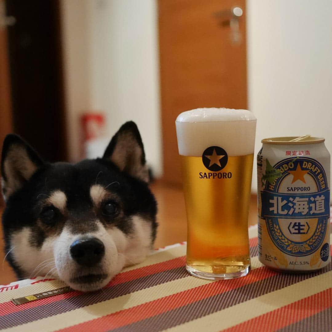 くろのインスタグラム