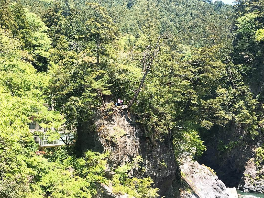 日下裕江さんのインスタグラム写真 - (日下裕江Instagram)「鳩ノ巣小橋からの眺め✨  渓谷でのハイキング の醍醐味って この美しい絶景が見られる のが最高！！！✨ 気持ちいい✨  #鳩ノ巣渓谷 #鳩ノ巣小橋 #絶景 #最高の景色 #最高の眺め #ハイキング #最高の幸せ」5月6日 20時39分 - hiroe___h