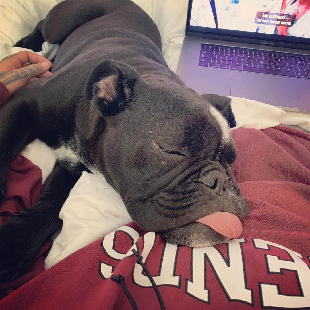 ビル・カウリッツさんのインスタグラム写真 - (ビル・カウリッツInstagram)「Stitch and Grey’s Anatomy on my days off 😍🙊」5月6日 20時46分 - billkaulitz