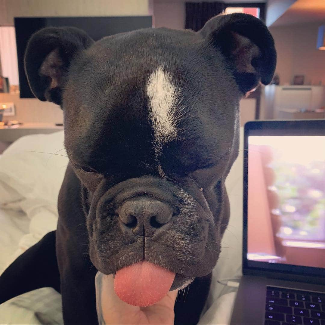 ビル・カウリッツさんのインスタグラム写真 - (ビル・カウリッツInstagram)「Stitch and Grey’s Anatomy on my days off 😍🙊」5月6日 20時46分 - billkaulitz