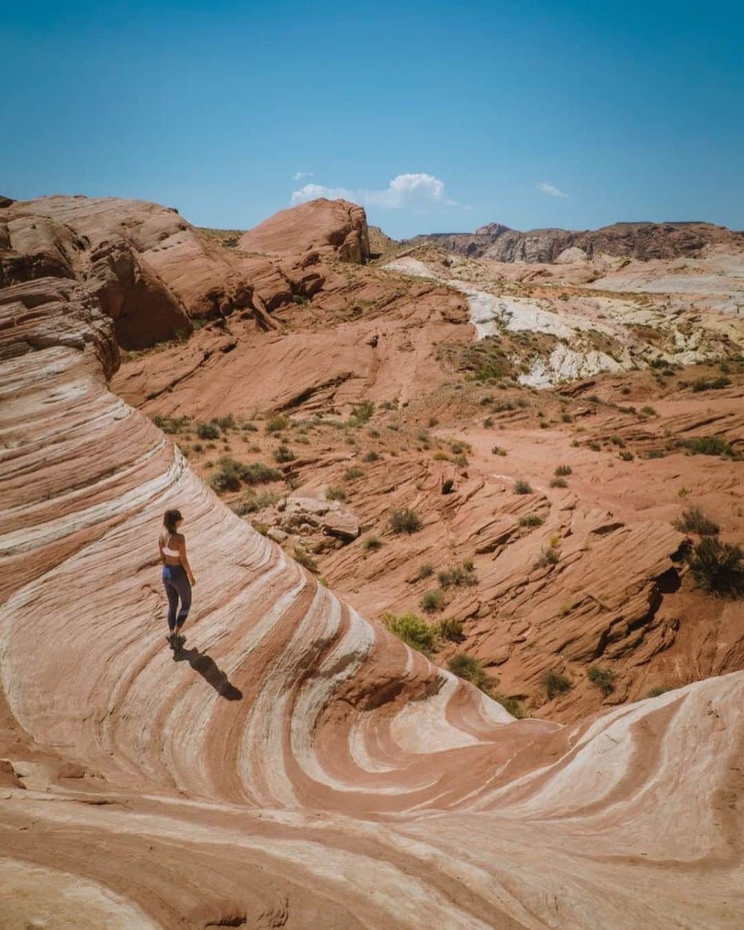 REIさんのインスタグラム写真 - (REIInstagram)「Set your sights on unbelievable landscapes.  Photo: @raffnovais in Valley of Fire State Park, #Nevada. #OptOutside」5月6日 21時00分 - rei