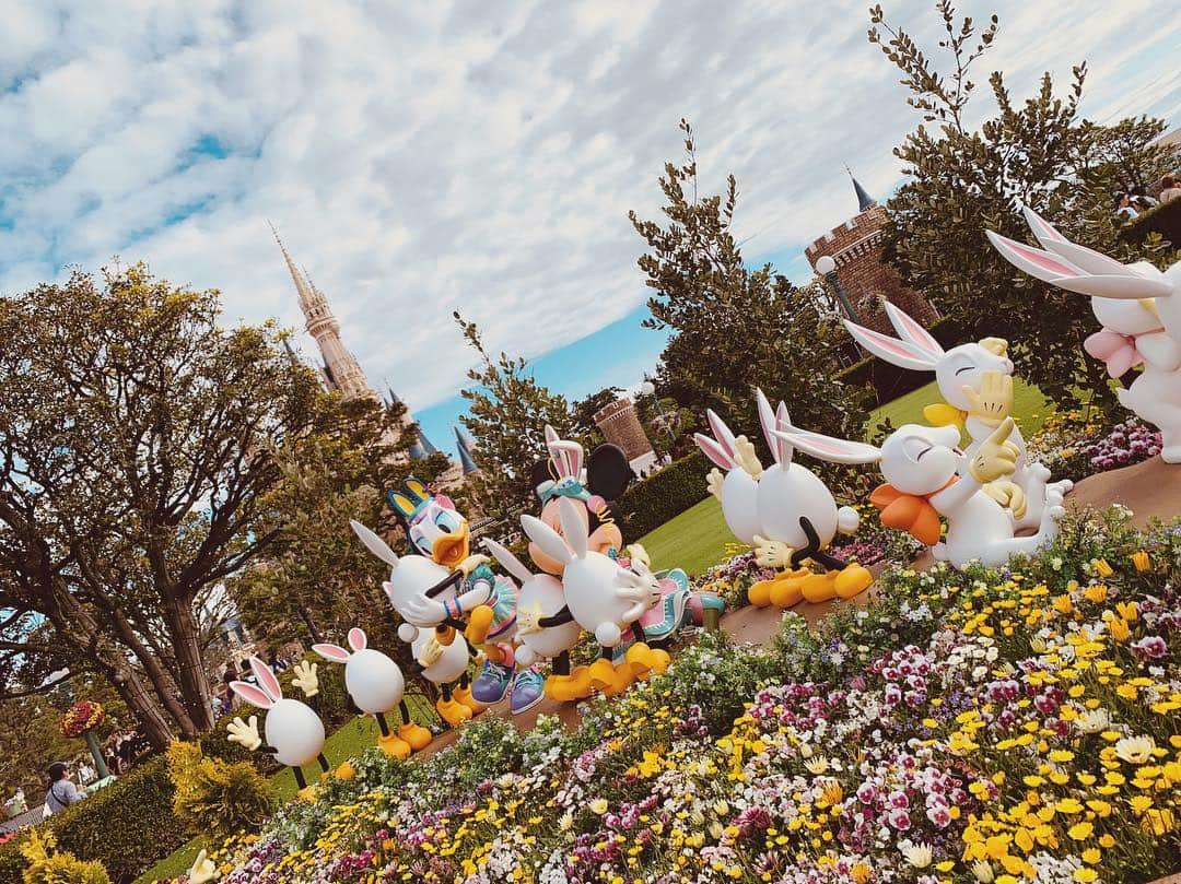 柴小聖さんのインスタグラム写真 - (柴小聖Instagram)「#happy #easter #cute #pop #colorful #flower #egg #disney #disneyland #disneyphotography #ディズニー #ディズニーランド #イースター #イースターディズニー #家族旅行」5月6日 21時09分 - konona.official