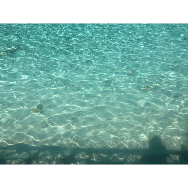 三島ゆかりさんのインスタグラム写真 - (三島ゆかりInstagram)「こちらモルディブです🏝 これまで行ったビーチリゾートでずば抜けて最高💖 お仕事頑張った自分へのご褒美💪✨ #maldives #vacances #resort #island #sea #fish #schnorcheln #gw #japanesegirl #trip #nicepic #最高 #死ぬまでに行きたい世界の絶景 #来てよかった #ダントツ1位 #透明度抜群 #三脚撮影 #selftimer #自撮り #どこのセレブですか #インスタグラマーですか #どっかのパパに連れてきてもらったんですか #違います #散財 #三島ゆかり #ゆかりんごチャンネル #ゆかりんごgames #youtuber #followme」5月6日 21時16分 - apple340