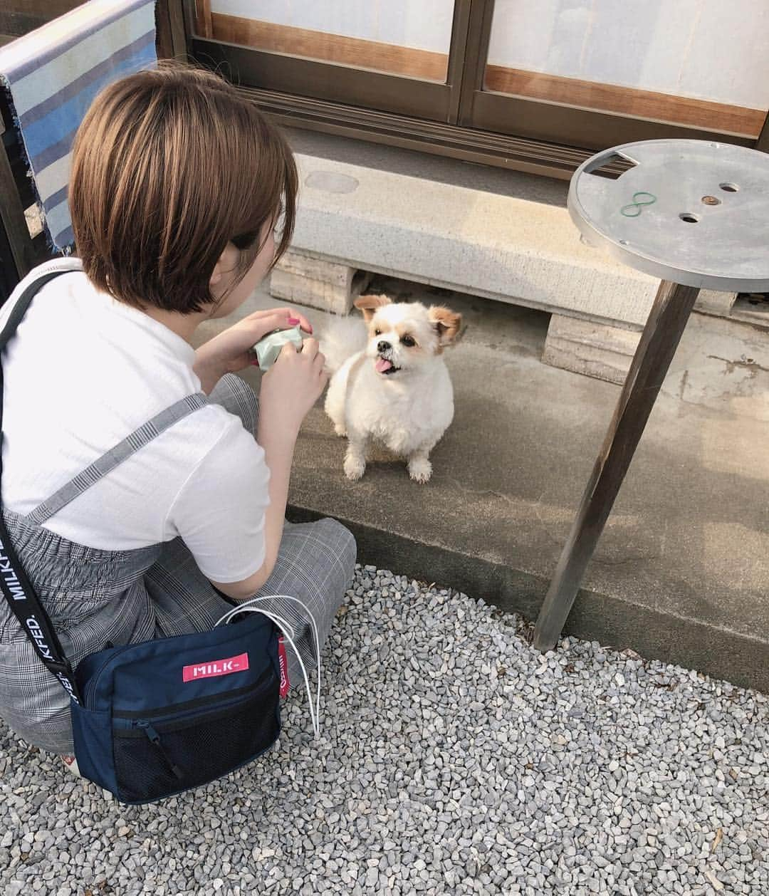 松崎博香のインスタグラム