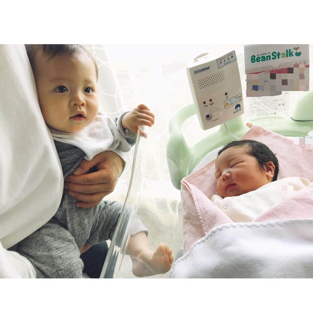 のインスタグラム：「・ ・ Nice to meet you,Pretty Angel👼 ・ 元気に産まれてきてくれてありがとう❤️ ・ 先日ねねの第二子女の子が無事に誕生しました👶 ・ まだまだ赤ちゃんな息子だけど新生児の小さな身体と比べるととても大きく見えて改めて成長を実感しました♡ ・ これからたくさん遊んだりできるね❤️ ・ 叔母さんは我が子のように成長する姫を一緒に見守っていくからね♡ ・ #congratulations #happybirthday #niece #angel #baby #girl #love #令和ベビー」