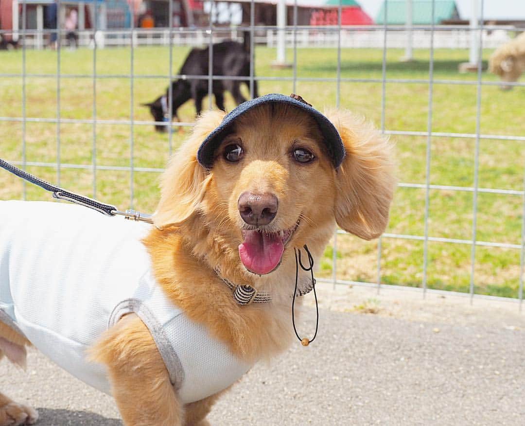 Sora Momoのグルメインスタ