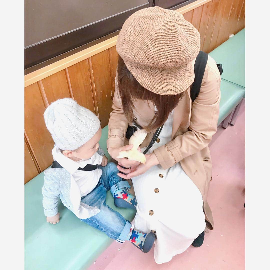 長谷川真美さんのインスタグラム写真 - (長谷川真美Instagram)「👒💕 ・ GW終わってしまったー🤭💦 明日からまた頑張ろうっと！！！ ・ 先日投稿したコーデで被ってたのは #14plus @14plusjp の #ザックリ編みサーモキャス 👒💗 ・ #東武動物公園 で #ひよこ を 触ることができたよー🐣💕 まさかひよこにもビビるはち君でした🤭 ・ #イチヨンプラス #帽子好き」5月6日 21時43分 - maami.hase