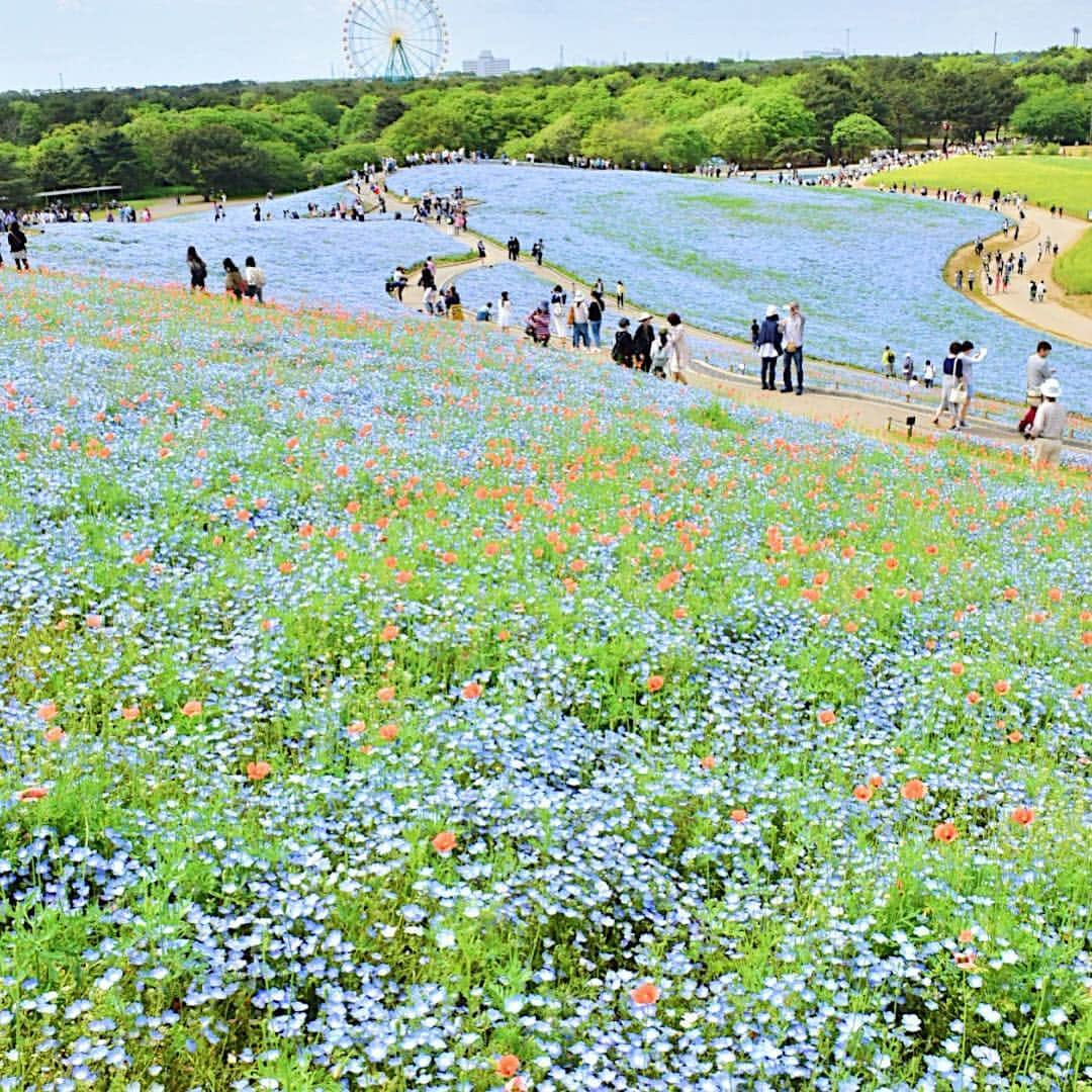 谷奥えり（えまえり）さんのインスタグラム写真 - (谷奥えり（えまえり）Instagram)「ほんっとに綺麗だった！」5月6日 22時02分 - eritanitani