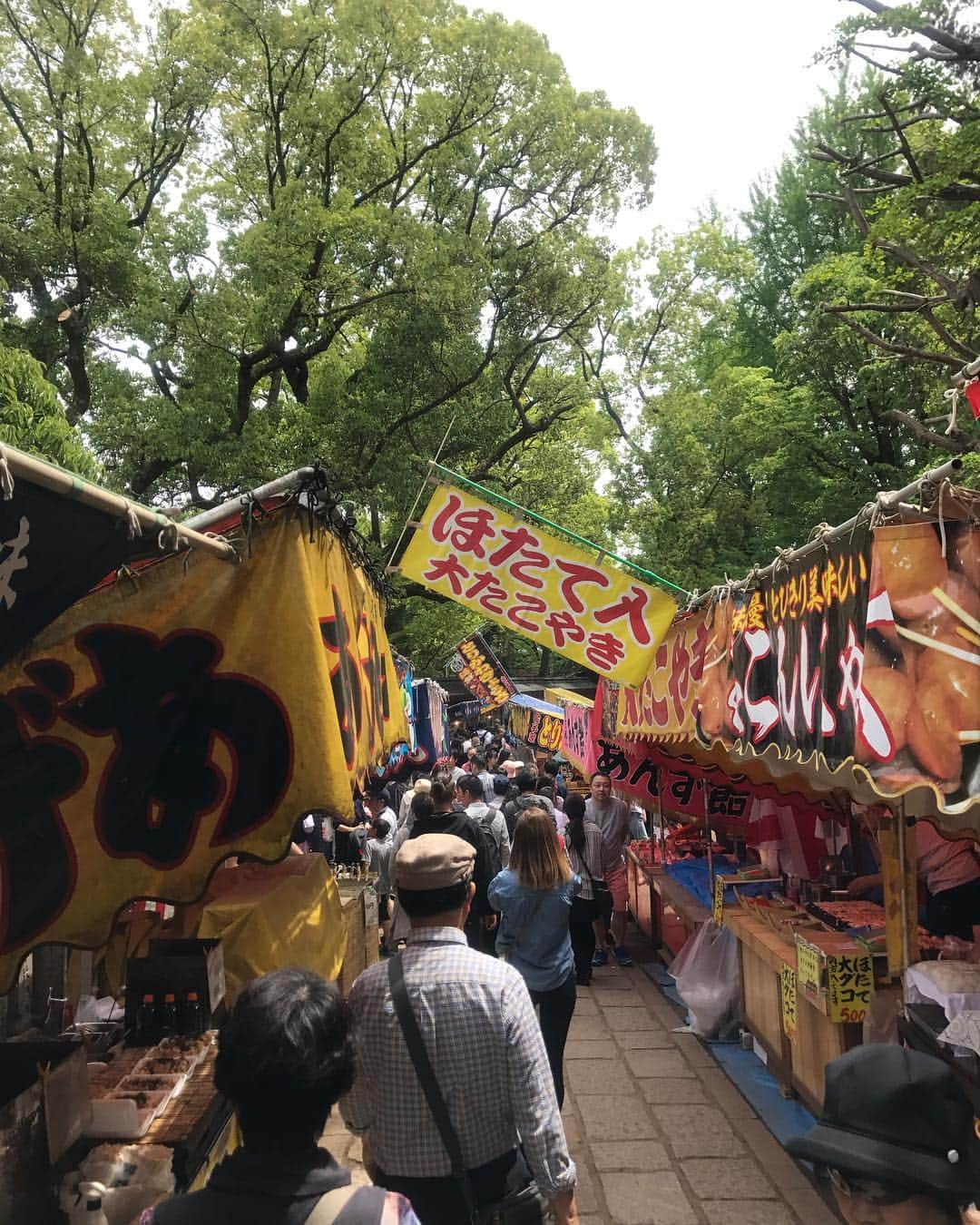 ティファニー春香さんのインスタグラム写真 - (ティファニー春香Instagram)「根津神社のつつじ祭り⛩🌸 つつじの種類の豊富さ✨普段道で見かけるものとはまた少し違った色や形のものが沢山見られました☺︎ . 今日でGWも終わり、明日からまた学校やお仕事が始まる人が多いかな😊切り替えて頑張っていきましょうねー✨ #根津神社 #つつじ祭り」5月6日 21時55分 - tiffanyharuka