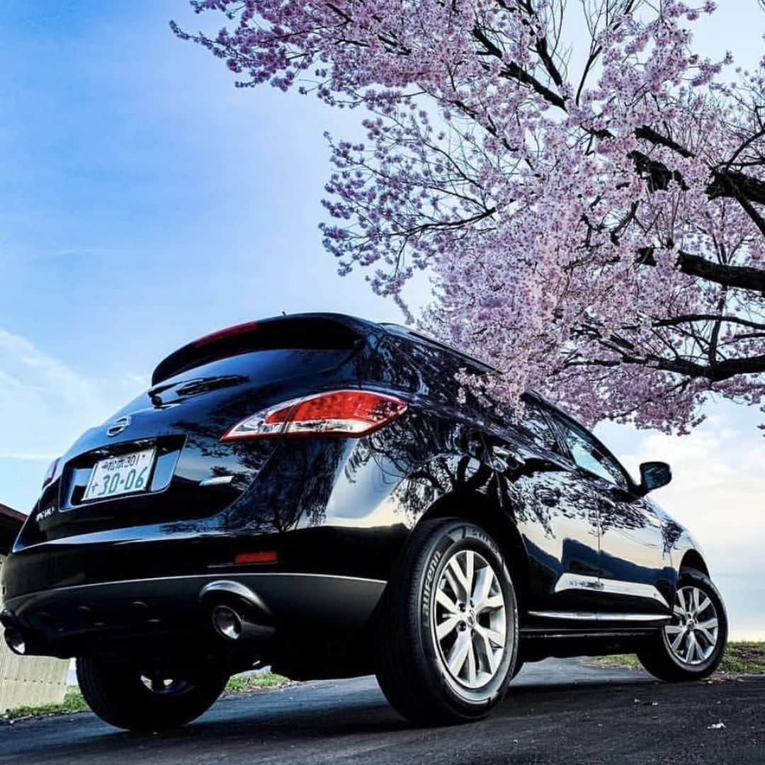 Nissanさんのインスタグラム写真 - (NissanInstagram)「Our kind of car freshener. 🌸 #NissanMurano #Nissan #Murano 📷&🚗: @komori.ryu」5月6日 22時00分 - nissan