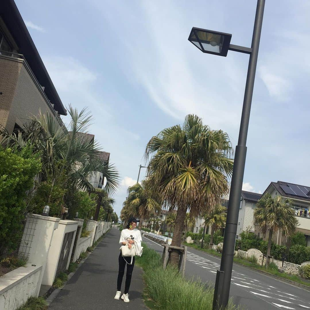 新山千春さんのインスタグラム写真 - (新山千春Instagram)「#ヤシの木 🌴は ものすごぉく元気をくれる🖤 (*˘︶˘*).｡.:*♡好きなんだー😍 . それにしても トランポリンでの ジャンプ力！！ なんでこーーも違うかね？ ‪𐤔𐤔‬☺︎꒡̈⃝⌄̈⃝¨̮‪𐤔𐤔‬. #Palmtree #失敗mama 🤣 _____________________________________________________🌴#LA好き  #art 好き🎨#chihuahua #dog 🐶  #mamafashion #Japaneseactress #casualcoordinate #denimcoordinate #makeup #model  #mama#mamastyle #Instagood #cooking #streetwear #mamacoordinate #streetfashion  #outfit #casualstyle  #outfitstyle #촬영 #粉我 #나를따르라  #fashionistas #dailylook #coodinate #新山千春  _____________________________________________🌴🌵🌴」5月7日 8時57分 - chiharuuu_0114