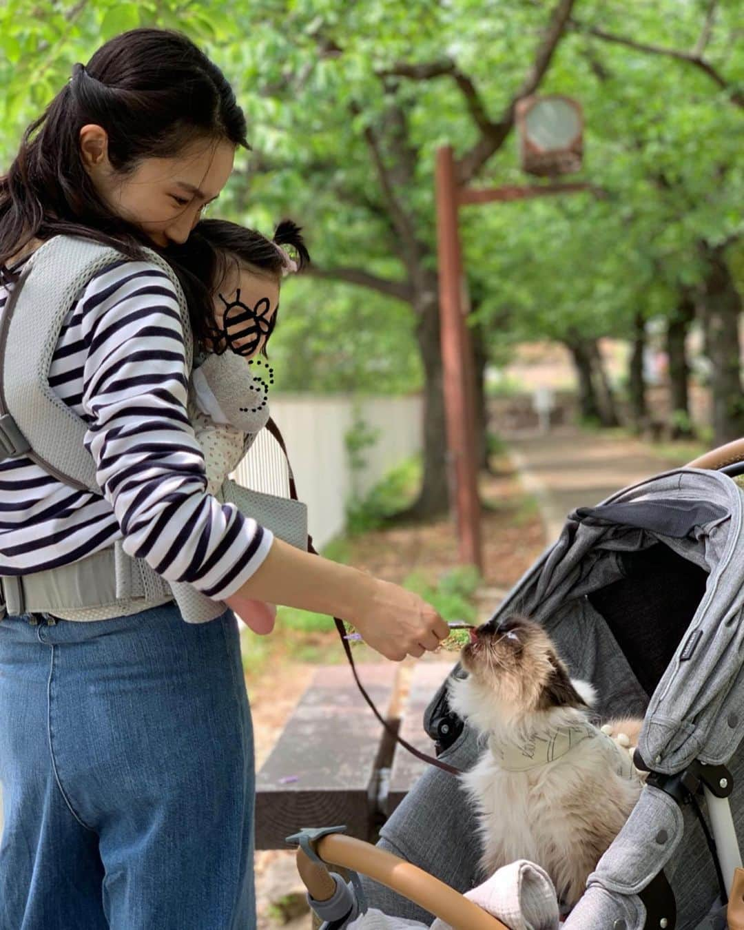 plumeさんのインスタグラム写真 - (plumeInstagram)「GW最終日はみんなでいつもの公園へ🌳 おべびは抱っこがいいって言うから🐒ぷんベビーカー乗れて大満足🥳👍🚗 . いつもプリュムの鳴き声モノマネするけど、我ながら似てるわ🙊ww4枚目の動画みてね👀 . 気分転換できて楽しいお休みだった🍀💕 また今日から頑張ろう❣️ . . . . . . . . ずっと気になってた @konny.jp 抱っこ紐！ 我が家は🐈も一緒にお出かけすることが多いのでかさばらない、コンパクトな抱っこ紐が気になってました💓真夏が来るし🥵💦スポーツウェアにも使われてる生地なら軽く、通気性良く、コンパクト、お洗濯も楽チンななこと間違いなし🥺どうか御縁がありますように💫 @konny.jp  #コニー抱っこ紐サマー #抱っこ紐 . . #プリュムのいる生活 #猫のいる暮らし  #ヒマラヤン  #赤ちゃんと猫  #ふわもこ部  #ヒマラニャンズ  #猫  #ねこ #🐈 #ベビーカー #ママタス  #お出かけ #公園 #고양이  #kucing  #Кот  #ilovecats  #sealpoint  #beautifulcat  #himalayancat  #catsofinstagram #catloversclub  #bestmeow  #bestcats_oftheworld  #weeklyfluff  #bestanimal #cutepetclub #grumpycat」5月7日 8時12分 - plumestagram