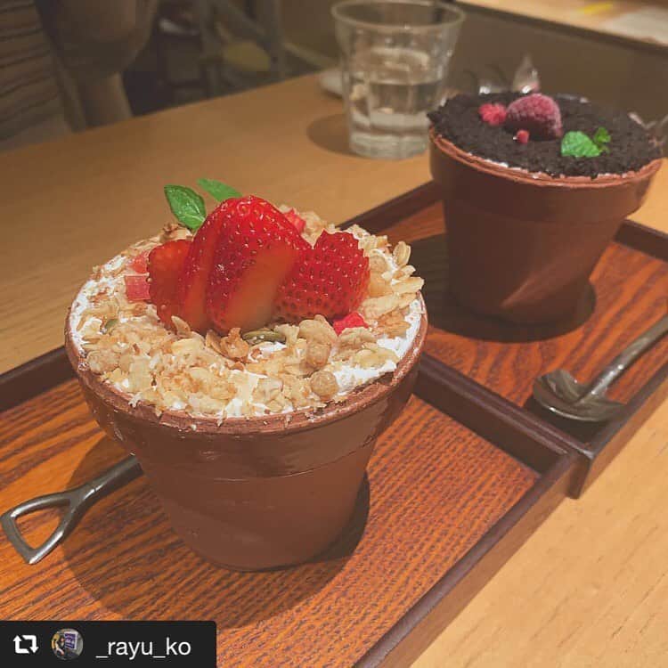 ハレノヒのインスタグラム：「#repost @_rayu_ko via @PhotoAroundApp  ハレノヒのフラワーポット ・ スプーンもスコップで可愛かった ・ #ハレノヒ#ハレノヒカフェ#新宿#ルミネエスト#fff#lll#flf#instafood#cute#followｍe @_rayu_ko様 ご来店ありがとうございます😊お写真も嬉しいです♪ #ここでしか食べられない#ケーキ#フラワーポット」