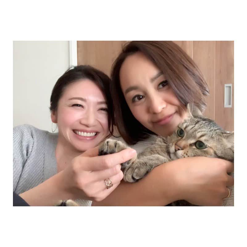 市橋有里さんのインスタグラム写真 - (市橋有里Instagram)「逃げられなくなった喜び😊♪さ、今日からまたお仕事がんばろー ・ #おはようごさいます #ゴールデンウィークに #近寄っても逃げない #もふもふしても逃げない #ちょっと嫌そうw #緊張してるけどw #逃げられない喜び @mika5nakayama ちゃんいつもありがとう」5月7日 8時41分 - ariichihashi