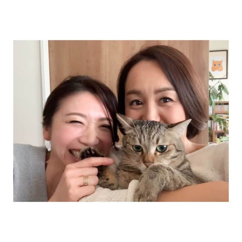 市橋有里さんのインスタグラム写真 - (市橋有里Instagram)「逃げられなくなった喜び😊♪さ、今日からまたお仕事がんばろー ・ #おはようごさいます #ゴールデンウィークに #近寄っても逃げない #もふもふしても逃げない #ちょっと嫌そうw #緊張してるけどw #逃げられない喜び @mika5nakayama ちゃんいつもありがとう」5月7日 8時41分 - ariichihashi