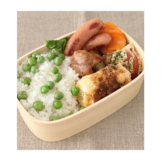 前田ゆかのインスタグラム：「連休明けから始まった お弁当！  今朝は「朝練」があることを聞いて💦 あれこれ作る自信なく 昨日のうちに半分は作りおきしておきました。 おやすみで気持ちの余裕と時間があったから出来たこと。  休み明けのお弁当はとても気合いが必要ですね〜  #今日のお弁当 #お弁当 #obento #男子弁当 #わっぱ弁当 #昨日はコロッケの日 #だからいつもより多め #人参のハチミツマリネ #トマトのチーズ肉巻き #グリーンピースごはんがだいすき #maeyukabento #maeyukareshipi」