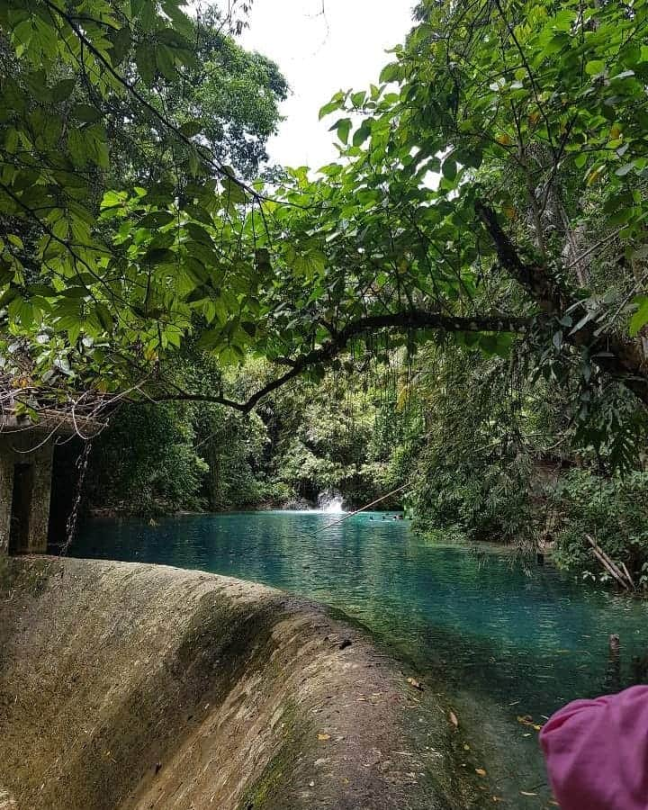 山上愛さんのインスタグラム写真 - (山上愛Instagram)「🌲🐟🏊‍♂️⛰」5月6日 23時58分 - aiyamagami_