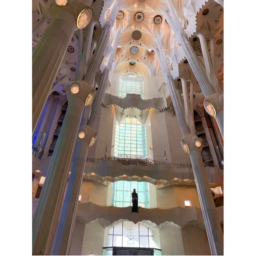 永瀬かおるさんのインスタグラム写真 - (永瀬かおるInstagram)「Sagrada Familia!! . 中に入るとまず目に入るこの景色… 柱がたくさんあり、 上を見ると、 木の下から見上げているような🌳 . ステンドグラスは朝日を浴びて本当に美しい。 . #sagradafamilia #spain #trip #antonigaudí #españa #永瀬かおるのスペイン旅 #旅 #旅行 #スペイン #スペイン旅行 #サグラダファミリア #ガウディ #旅ブログ書いてます」5月6日 23時58分 - nagase_kaoru