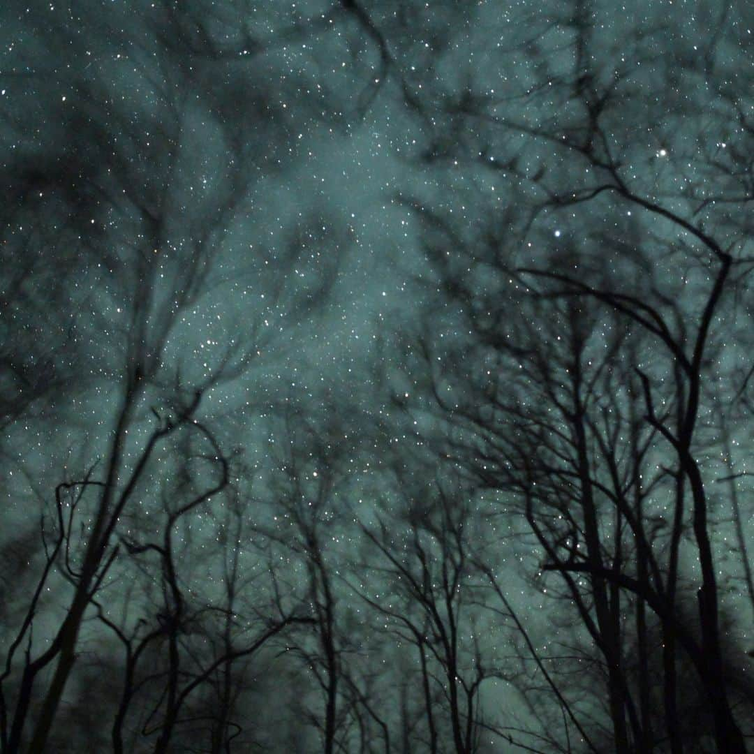 AFP通信さんのインスタグラム写真 - (AFP通信Instagram)「AFP Photo 📷 @yeaungthu - Stars in the nightsky above Shwe Settaw Sanctuary in Magway Region, on May 5, 2019. #stars #nightphotography #astronomy」5月7日 0時13分 - afpphoto