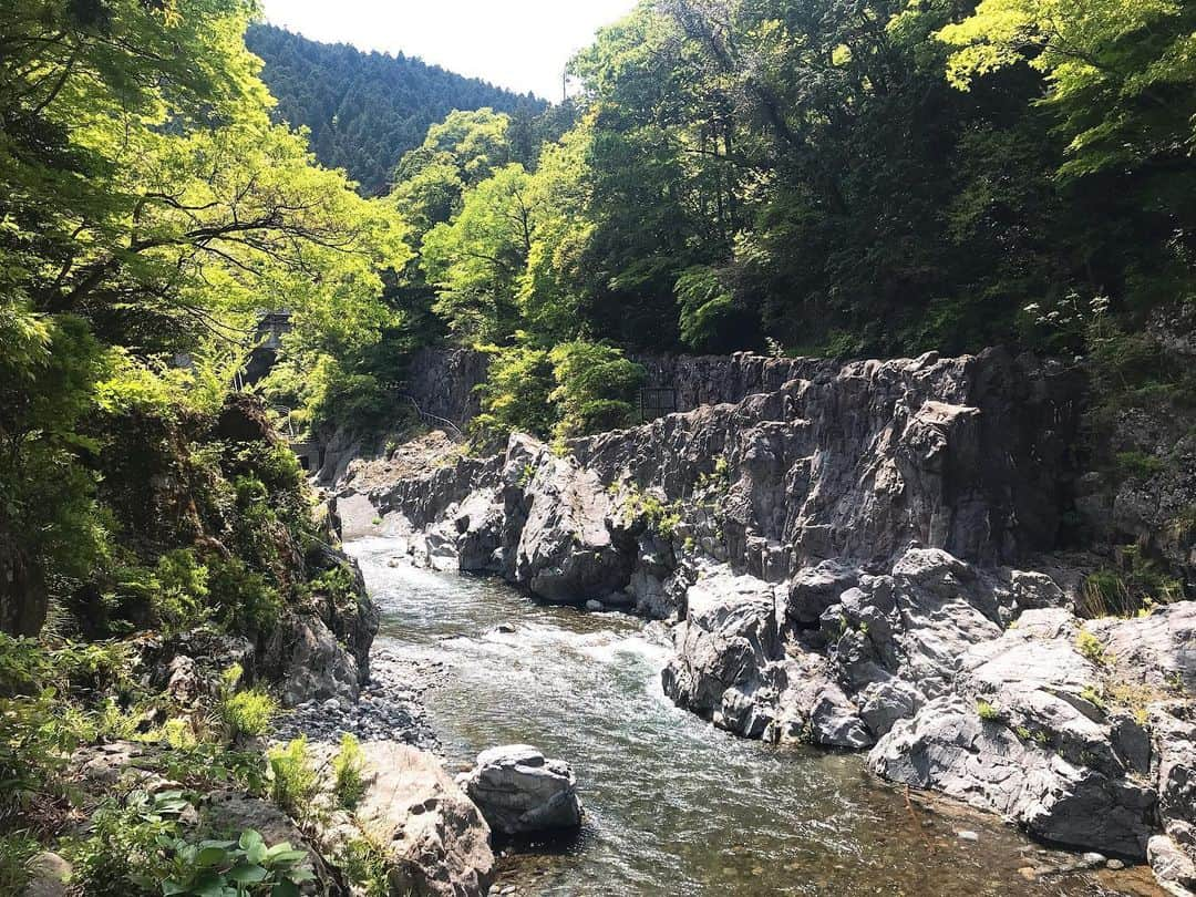 日下裕江さんのインスタグラム写真 - (日下裕江Instagram)「鳩ノ巣小橋下を流れる多摩川  やっぱり上流は 水が透き通って綺麗✨  岩場でお弁当食べてる人達多かった🍙  私も持って来たら良かったな✨ マイナスイオン 沢山浴びながら 絶対ご飯美味しいよね🤤💕 #多摩川 #多摩川上流 #水が綺麗 #鳩ノ巣小橋の下の川 #岩場でお弁当 #ハイキング #オアシス #マイナスイオン」5月7日 0時16分 - hiroe___h