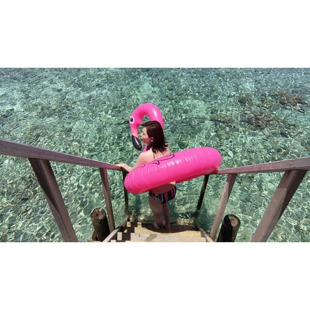 三島ゆかりさんのインスタグラム写真 - (三島ゆかりInstagram)「安定のフラミンゴ🏖 ファンの方から頂いたAmazonギフトカードで買いました💖🙇‍♀️ やっぱ可愛い😍 買ってよかった👍✨ ありがとうございます🍎 3枚目4枚目はフラミンゴに乗れずに格闘、結果諦めて5枚目の形になりましたww😂 #maldives #vacances #resort #island #sea #swimwear #flamingo #nicepic #japanesegirl #trip #gw #amazon #present #thanks #kawaii #cute #死ぬまでに行きたい世界の絶景 #絶景 #最高 #海綺麗すぎ #透明すぎ #肉眼で見れる #魚 #まぁまぁでかい #癒し #インスタ映え #ストーリーも見てね #三島ゆかり #followme」5月7日 0時43分 - apple340