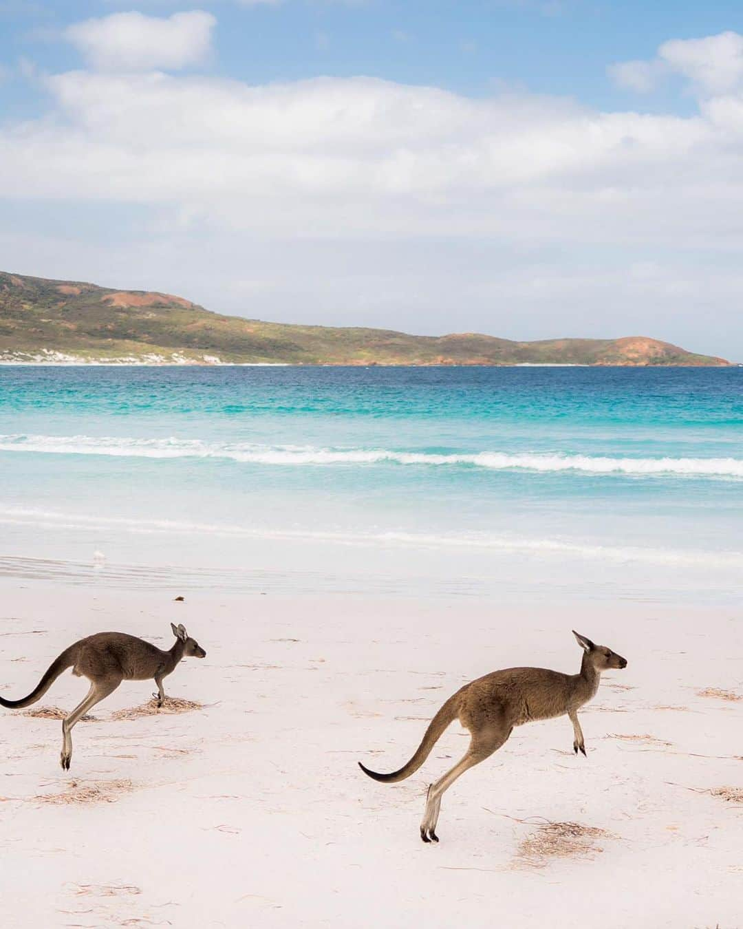 Wonderful Placesさんのインスタグラム写真 - (Wonderful PlacesInstagram)「Western Australia ❤️❤️❤️ Pictures by ✨@savethereef✨ go follow this new charity that aims to save coral reefs, marine life and the oceans as they donate to environmental charities all over the world while spreading awareness about this urgent issue before it’s too late in a few years!」5月7日 0時43分 - wonderful_places