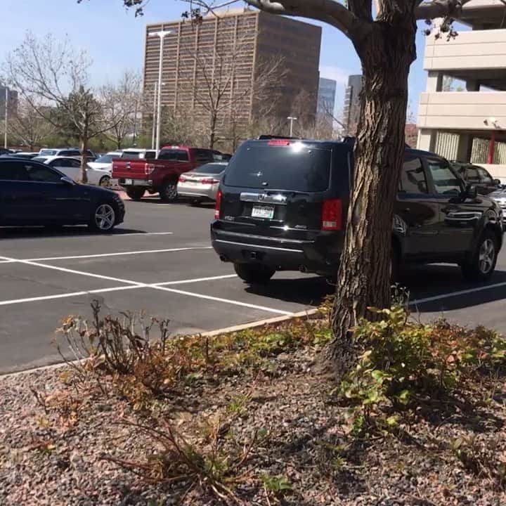 デヴィッド・スペードのインスタグラム：「Beep beep beep. Backin in!」
