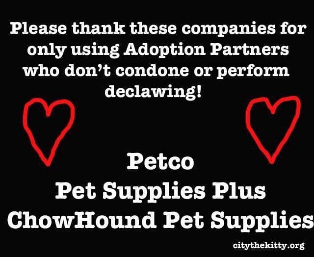 City the Kittyさんのインスタグラム写真 - (City the KittyInstagram)「Great news!!!! 😺😺😺 We are so happy to say that these three pet stores, @petco , @chowhoundpet , and @petsuppliesplus are against declawing and will not allow any of their rescues/shelters to perform, advertise, or condone declawing on their cats!  Please give them accolades for truly caring about the welfare of cats! . Unfortunately @petsmart still allows their Adoption Partners to condone and perform declawing. Can you please respectfully ask Petsmart why they don't care to protect the health and well-being of ALL cats and take a stand against this barbaric and inhumane amputation procedure like these other pet stores did. . Do you have any pet stores in your area with Adoption Partners who perform or condone declawing? If so, send us their info and we will reach out to them and educate them about the facts about declawing and ask them to help us protect cats from this cat cruelty. citythekitty@gmail.com . Please support our nonprofit's mission to end this unnecessary and mutilating amputation procedure. Our pet store campaign is working thanks to your support and your respectful voices! ❤️❤️❤️❤️ www.citythekitty.org  #Petco #PetSuppliesPlus #ChowhoundPetsupplies #Petsmart #PA #Ohio #Michigan #Erie  #Pennsylvania #Wisconsin #Florida #Indiana #Midwest #PetsmartCharities #petsmart #dotherightthing」5月7日 1時15分 - citythekitty