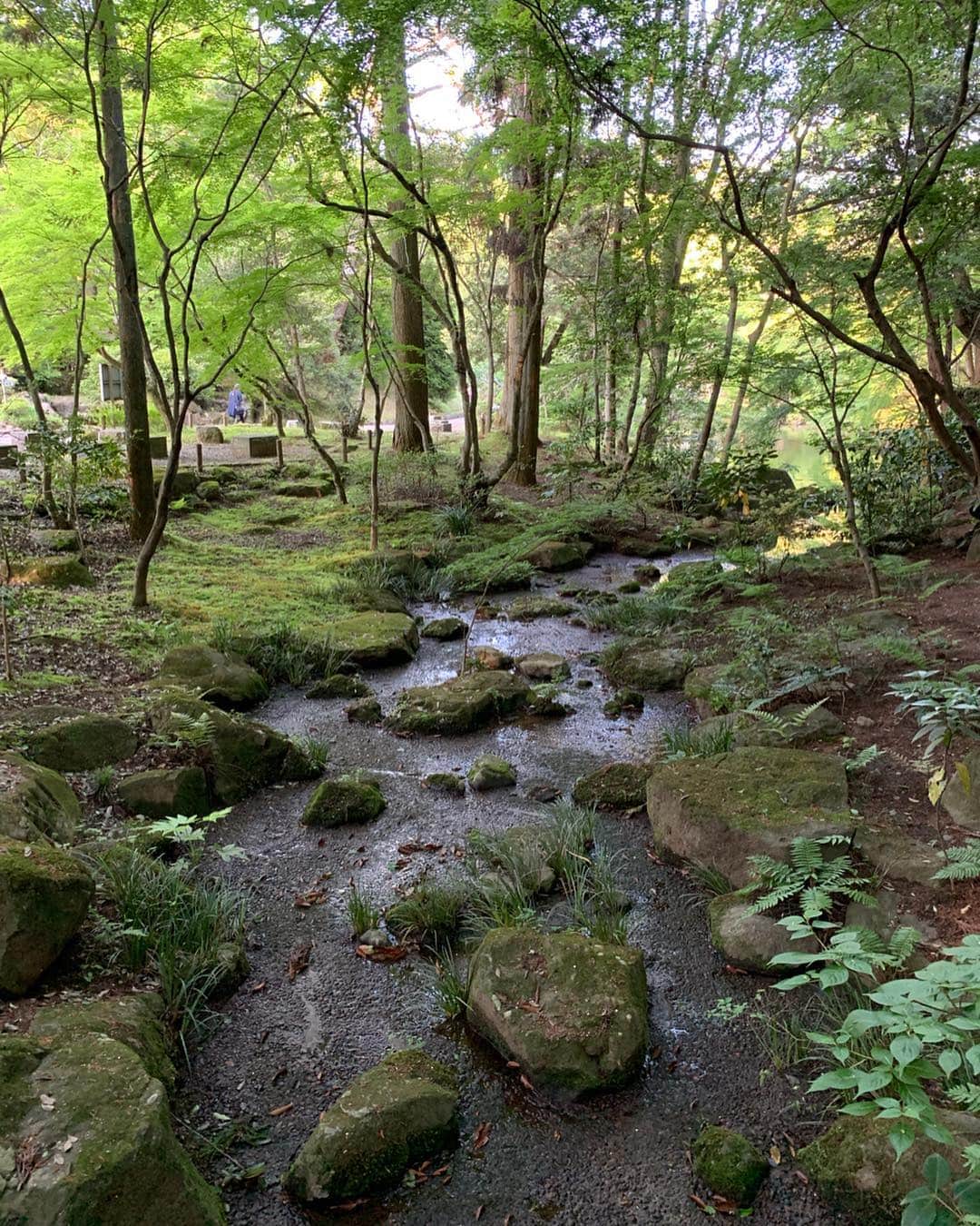 RENA さんのインスタグラム写真 - (RENA Instagram)「用事があって千葉の外房まで行った帰りに成田山の新勝寺にふらっと寄ってみたら酸素いっぱいですっごくリフレッシュ✨ ． GWぽくちょっと楽しんだ時間になりました☀️ ． 次はどこへ行こう ． たくさんの景色を見てたくさんの経験を積んでいきたい:) ． ． ． #japanese #temple #history #narita #trip #nature #旅女 #オトナ女子 #ぶらり旅 #パワースポット」5月7日 1時50分 - rena_flare