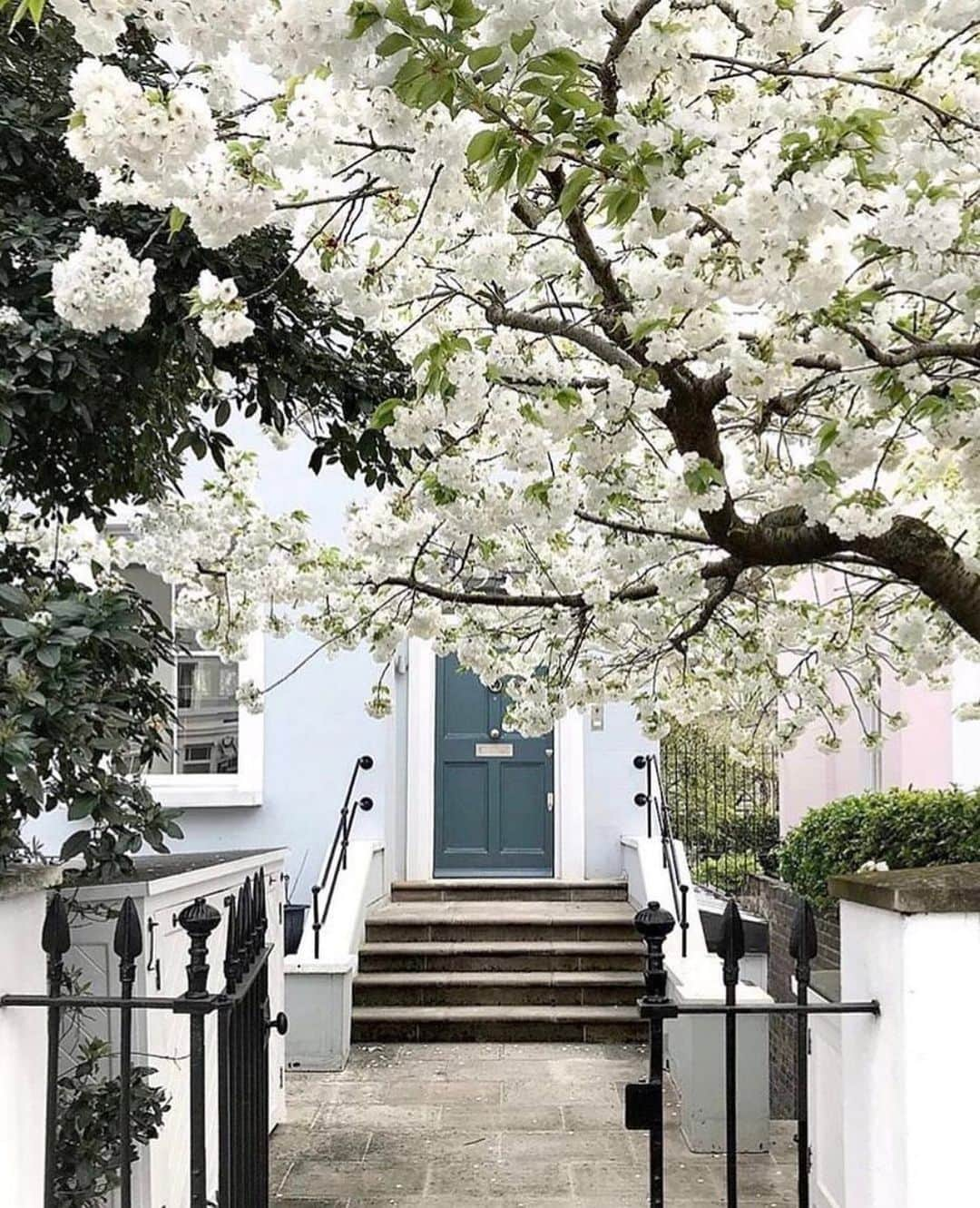 ELLE DECORさんのインスタグラム写真 - (ELLE DECORInstagram)「A dressed up doorway 🌸🌸 #regram 📸: @bei.bei.wei #nottinghill #London」5月7日 2時00分 - elledecor