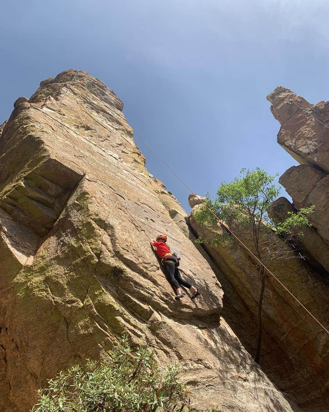 ホーランド・ロデンさんのインスタグラム写真 - (ホーランド・ロデンInstagram)「Thank you! To my brother @sin_noticias_de_ryan and all his climbing buddies for letting me be a fly on the wall - haha literally - and giving me the chance to try rock climbing this weekend in the best way possible❤️! I can see why he has been doing it since he was 12 - love the mountains - love the people- love the life. First of many more 👏🏻 📸 #alexkeagan and moi 🙌🏻」5月7日 2時02分 - hollandroden