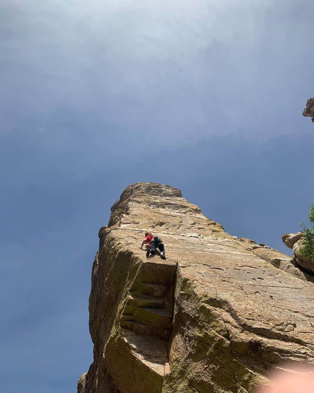 ホーランド・ロデンさんのインスタグラム写真 - (ホーランド・ロデンInstagram)「Thank you! To my brother @sin_noticias_de_ryan and all his climbing buddies for letting me be a fly on the wall - haha literally - and giving me the chance to try rock climbing this weekend in the best way possible❤️! I can see why he has been doing it since he was 12 - love the mountains - love the people- love the life. First of many more 👏🏻 📸 #alexkeagan and moi 🙌🏻」5月7日 2時02分 - hollandroden