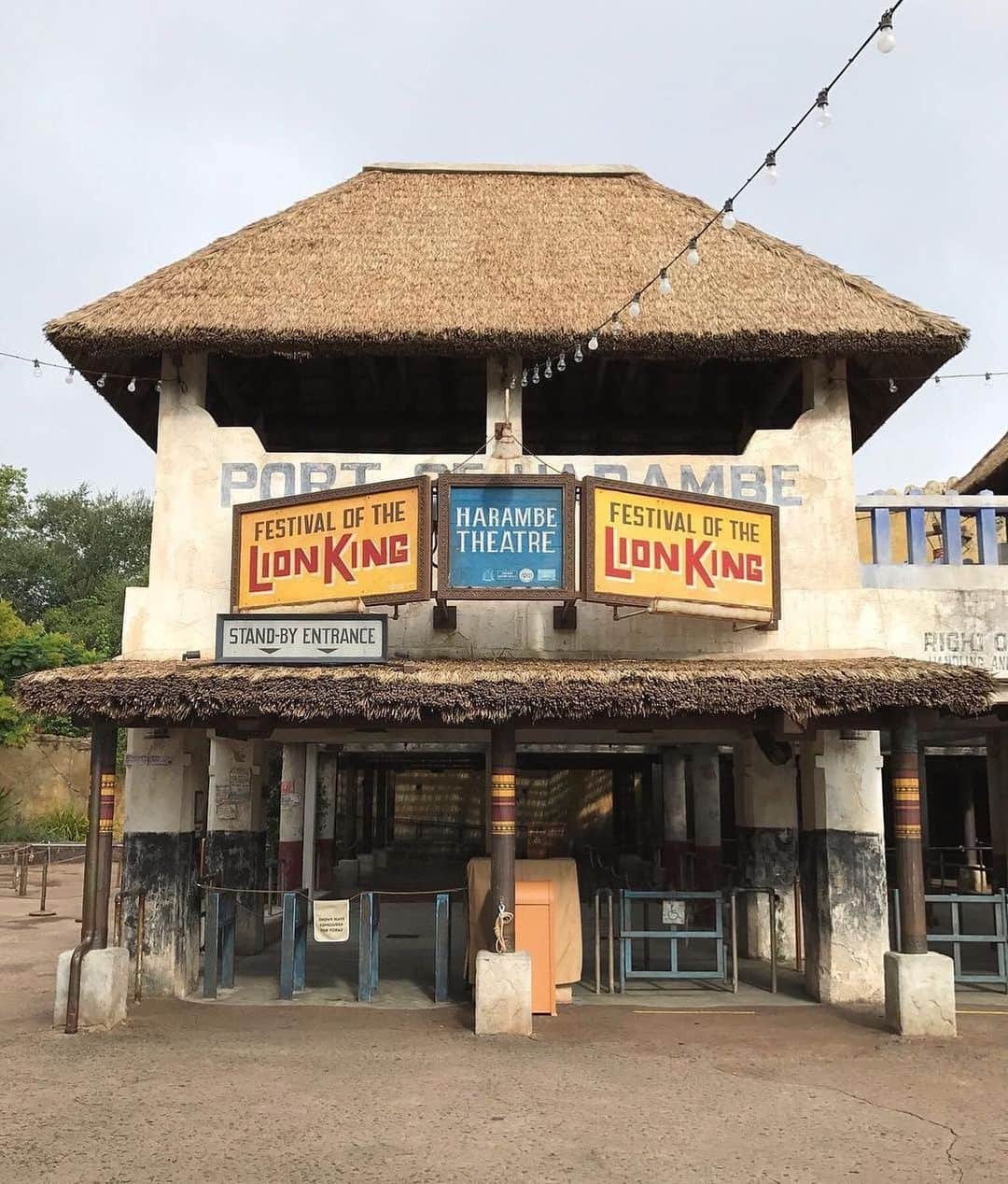 Walt Disney Worldのインスタグラム：「Calling all 🦁, 🐗, 🐘 and 🦒! #AnimalKingdom #LionKingCelebration (📷: @madchatters)」