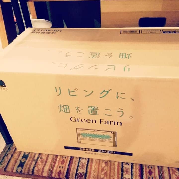 焼肉らんどのインスタグラム