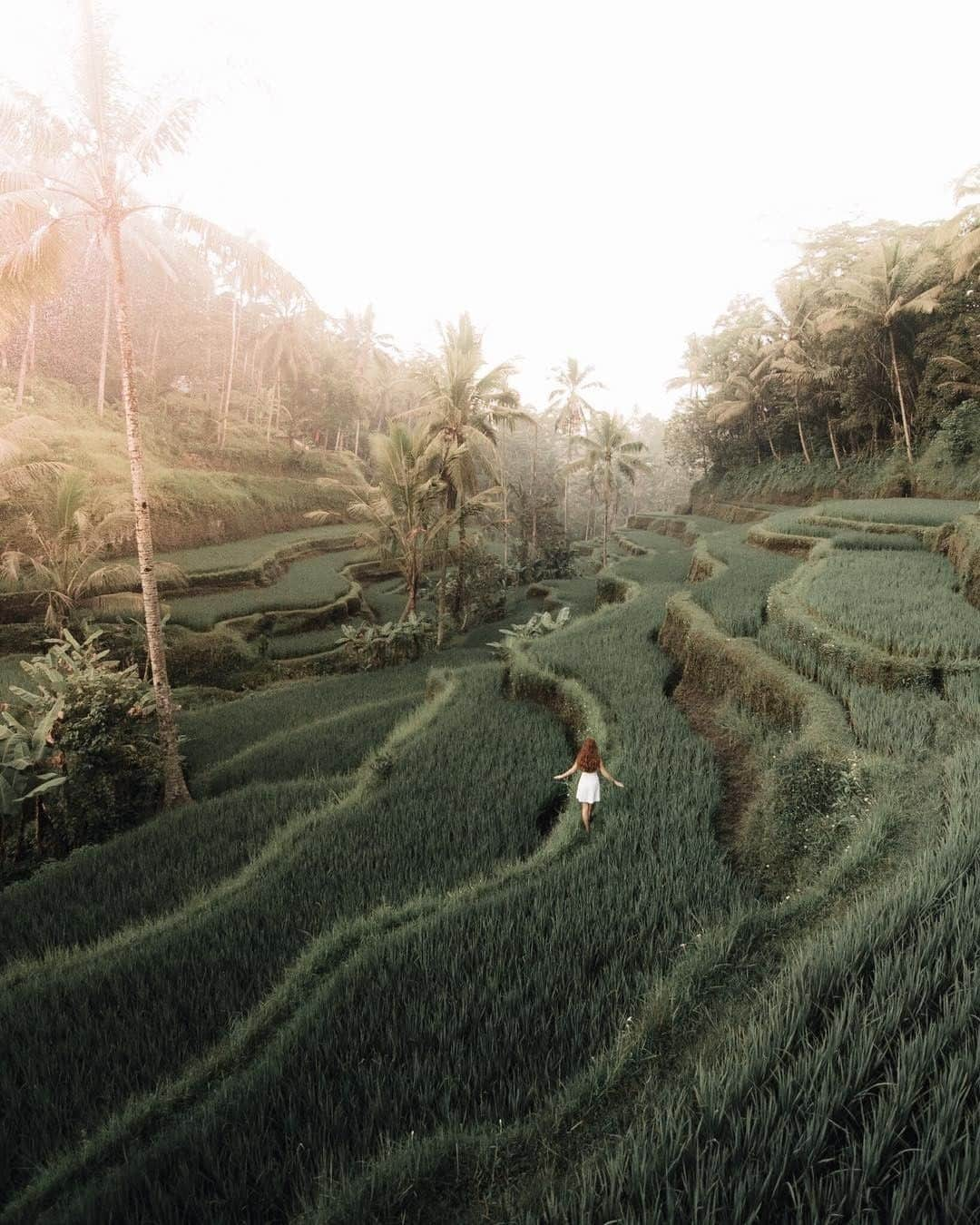 Kapten & Sonさんのインスタグラム写真 - (Kapten & SonInstagram)「'Wander often - wonder always.' 🌴 Great shot @kendallmartin ✨ #bekapten #kaptenandson⁣ .⁣ .⁣ .⁣ #bali #adventure #travelgoals #traveladdicted #travelgram #takemethere #passportpassion #girl #travelling」5月7日 3時10分 - kaptenandson