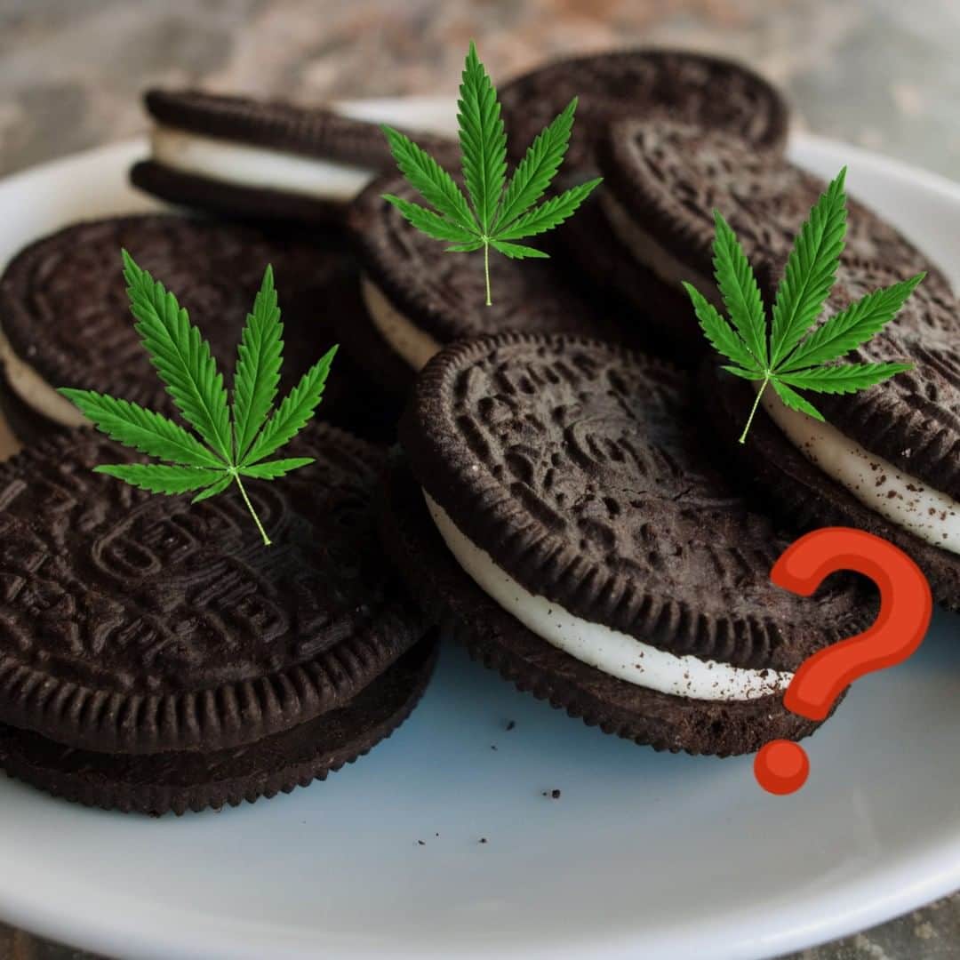 VICEさんのインスタグラム写真 - (VICEInstagram)「Are CBD Oreos in our future?  Van de Put, the president of food conglomerate Mondelez, told “Squawk on the Street” that the company is considering adding CBD to some of its products, which include Chips Ahoy, Ritz Crackers, Oreos, Cadbury, and Triscuits, among others.  Maybe this is a great idea, or maybe, just maybe, we have gone too far... Link in bio.」5月7日 9時06分 - vice