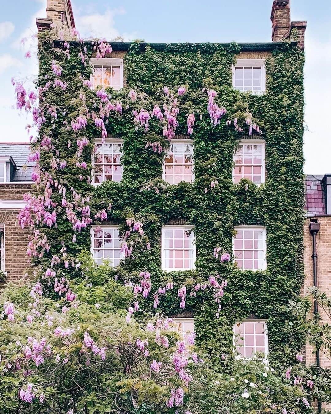 Travel + Leisureさんのインスタグラム写真 - (Travel + LeisureInstagram)「The wisteria hysteria is real 👏 London is just lovely in the spring. Find out about the city's most glamorous new hotel at our link in bio! #tlpicks courtesy of @ananewyork」5月7日 3時50分 - travelandleisure