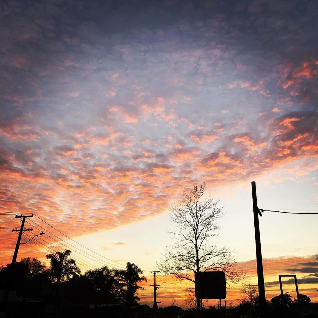 ファレ・シミタイトコさんのインスタグラム写真 - (ファレ・シミタイトコInstagram)「Morning view at the @faledojo  Rise and grind people! See you at work!」5月7日 3時57分 - toksfale