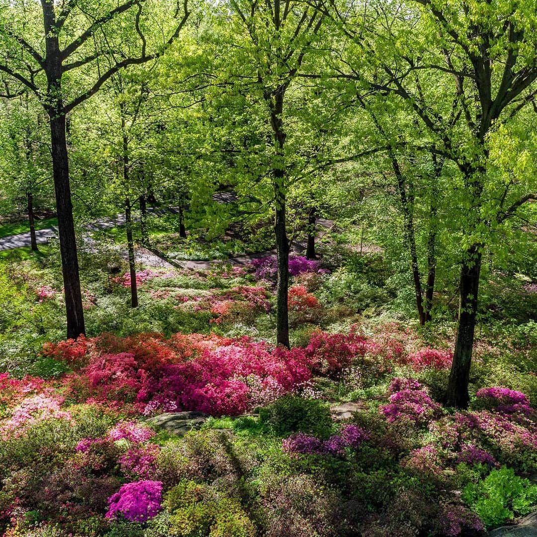 ニューヨーク植物園のインスタグラム